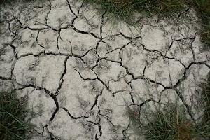 Молдавські аграрії вимагають введення НС через засуху