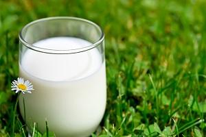В Україні йде перевиробництво молока