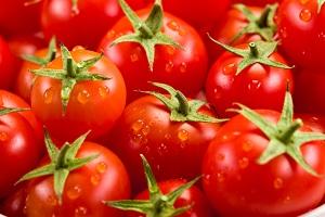 Німецький фермер виростив 300 сортів томатів