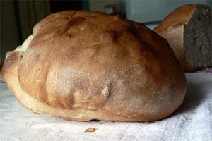 Став відомим рецепт хліба з Помпеї