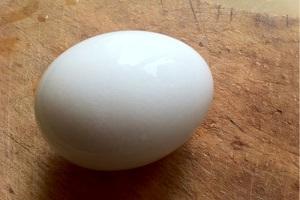 У Китаї знайшли яйце віком дві тисячі років