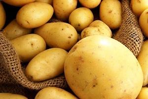 Засуха нашкодила врожаю картоплі — експерт