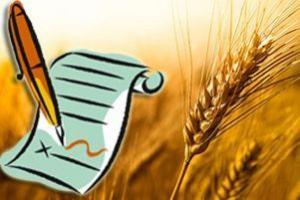 Виробництво зернових у 2020 р. збільшиться до 100 млн т?