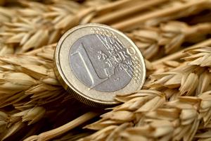Валютний фактор впливає на ціну зернових — експерт
