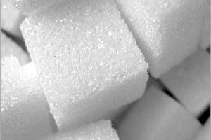 Вінничина буде лідером у виробництві цукру