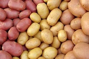 Картоплі виготовляється утричі більше, ніж споживається