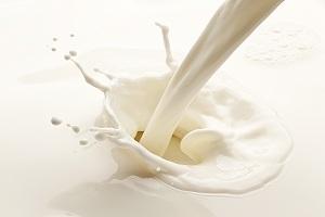 Закупівельні ціни на молоко будуть рости