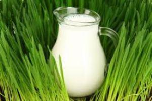 Аграрії скоротили продаж молока