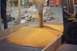 Закрито справу з крадіжкою пшениці на 11,5 млн грн