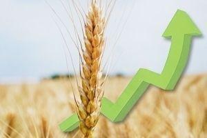 Україна може подвоїти обсяги сільгоспвиробництва