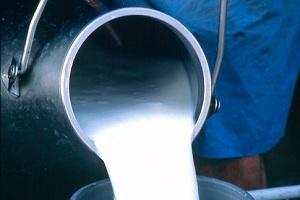 Виробництво молока впаде на 10% — прогноз
