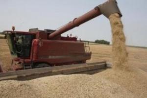 На Полтавщині намолочено 3 млн. т зерна