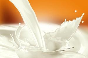 На Рівненщині виробництво молока впало на 4%