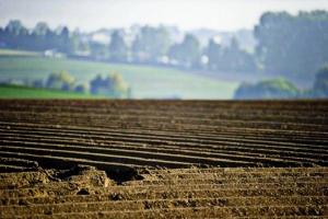 Фермерам потрібні кредити на землю під 5% річних — думка