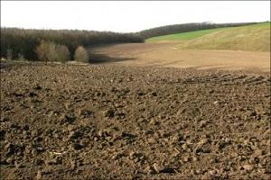 Стан ґрунтів у світі різко погіршується