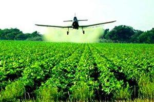 Державна реєстрація пестицидів має бути розблокована максимально швидко