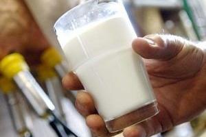 У Великобританії фермери, які займаються виробництвом молока, планують пережити молочну кризу за допомогою молокоматів