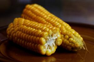 Компанія DuPont Pioneer представила гібриди восковидної кукурудзи