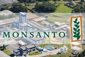 Німецькі компанії Bayer AG і BASF окремо розглядають можливість придбання американського конкурента Monsanto