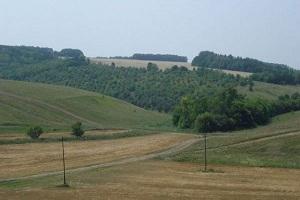 Молдавських фермерів зобов'яжуть страхувати сільгоспугіддя