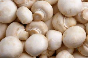 Низька ціна на гриби спровокувала закриття багатьох дрібних спеціалізованих ферм