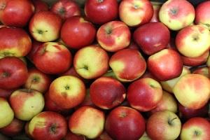 Ціна на яблука побила антирекорд