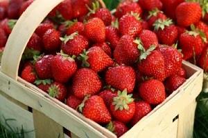 Збільшення попиту на ягоди у Великобританії в останні роки привертає все більше інвестицій у виробництво цієї продукції у країні