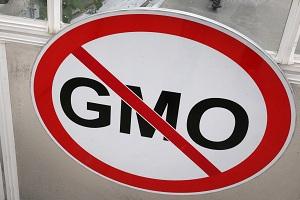 Президент Росії підписав закон про заборону ГМО