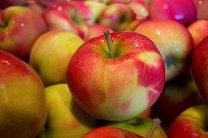 В Україні оптова ціна на яблука у два рази нижча торішньої
