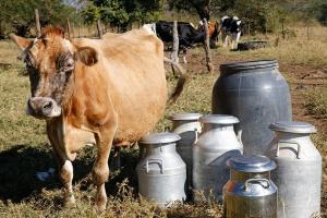 «ЕКОМ» уже отримав від проекту охолоджувач молока