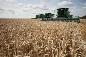 Одеська область намолитила понад 3 млн т зерна
