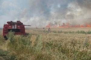 Сталася пожежа на зерновому полі площею 68,6 га