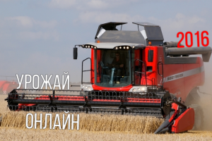Українські аграрії намолотили на 2,2 млн т більше зерна, ніж у минулому році