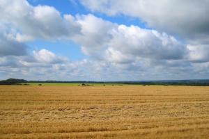 Середній розмір орендної плати за земельні паї в Черкаській області становить 2,1 тис. грн за 1 га