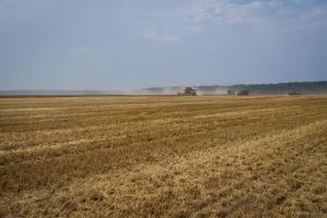 На Луганщині залучатимуть інвестиції в аграрний сектор