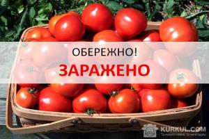 В Україну спробували ввезти заражені помідори та квіти