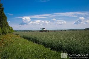 Значні площі земель в Україні «зависли в повітрі»: серед таких земель опинились і лісосмуги
