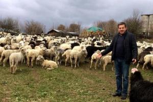 Львівський фермер хоче створити конкурентну вівцеферму та збільшити кількість робочих місць для бійців АТО