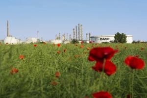 Лідер світової хімічної галузі концерн BASF зробив прогнози щодо діяльності представництва в Україні