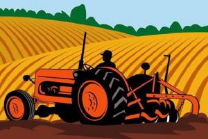 Рентабельність сільського господарства в Україні б'є свої рекорди