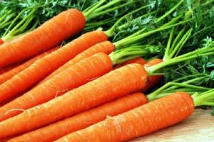 Попит на ранню моркву в травні-липні зросте