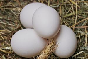 Курячі яйця