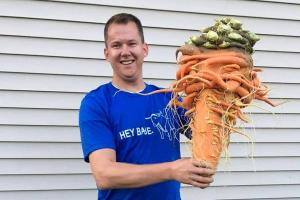 Морква-рекордсменка вагою 10 кг