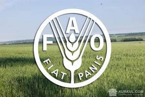 Продовольча та сільськогосподарська організація ООН (ФАО)