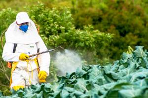 Обробка ділянки пестицидами