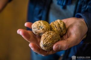 Рентабельність переробки волоських горіхів становить 299 %