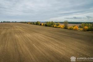 На Кіровоградщині фермер незаконно орендував землю вартістю 1,8 млн грн