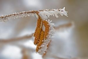 Потужні снігопади та заморозки накриють більшість регіонів України
