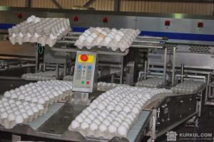 Зростання цін на яйця може бути результатом змови виробників