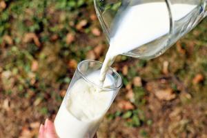 Експорт українського молока зріс майже вдвічі — Ярмак